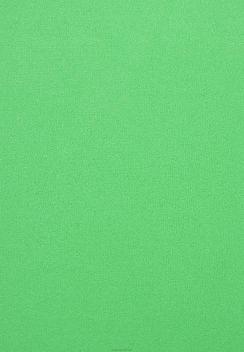 femei palton scurt verde Anna Field2284715